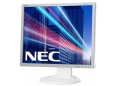 NEC MultiSync LED EA193Mi 19'', IPS, DVI, DP, speakers, white